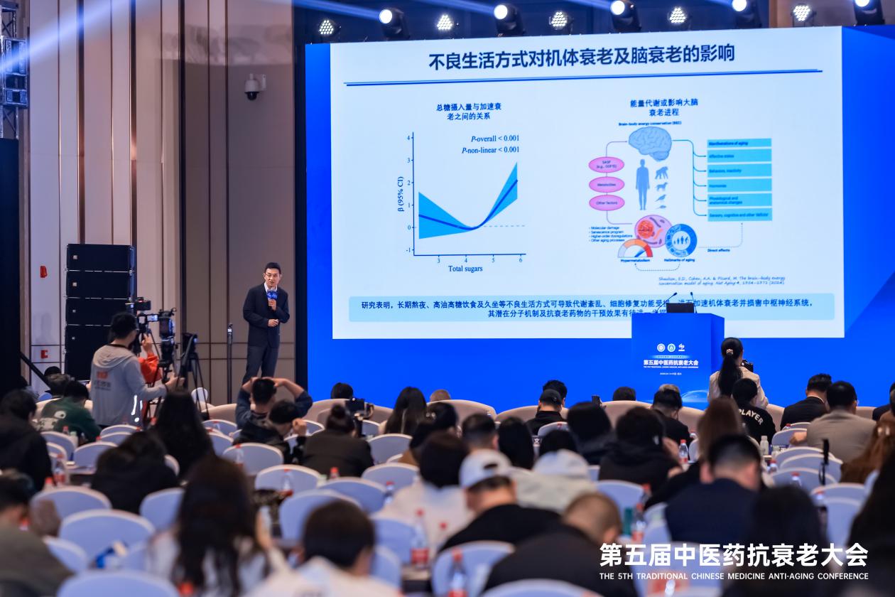 IMG_256